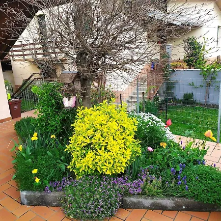 Da Matte E Ale - Apartman