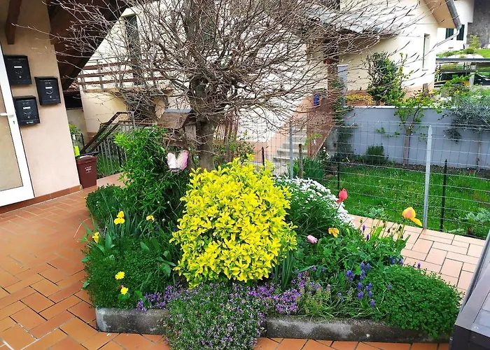 Da Matte E Ale - Appartement